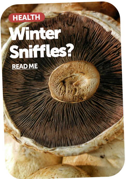 Winter Sniffles?