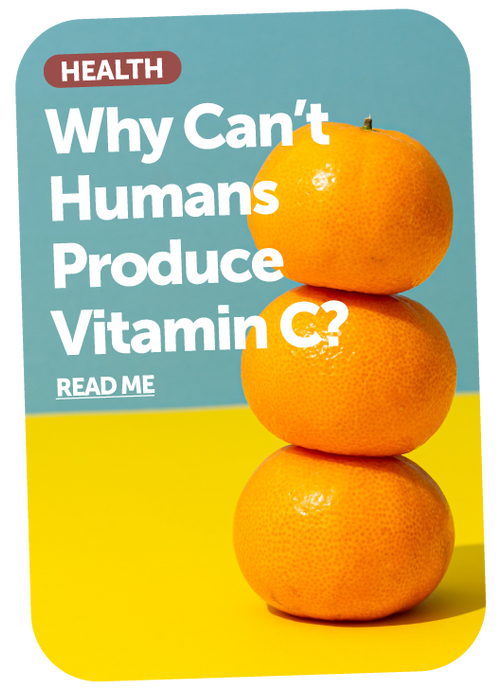 Why Can’t Humans Produce Vitamin C?